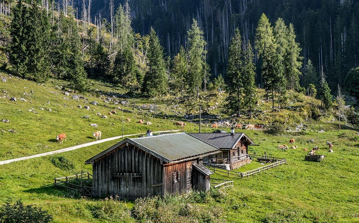Kaser auf der Gotzentalalm