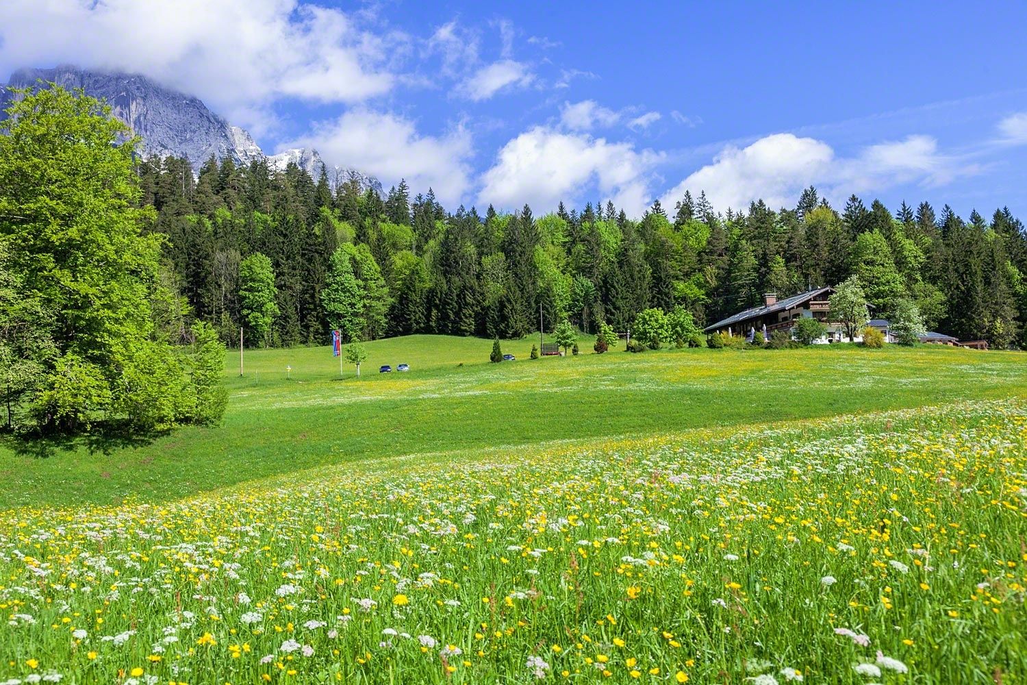 Gasthof Dürrlehen in Maria Gern