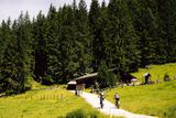 Mit dem Mountainbike zur Schpabach-Alm