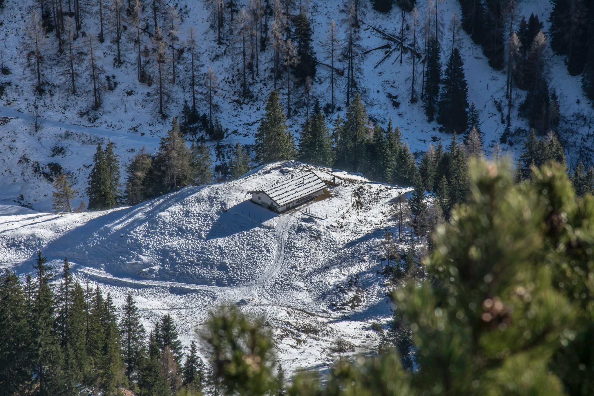 Wintereinbruch am Sulzbergkaser 