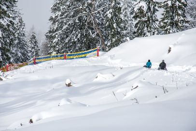 Rodelbahn Hirscheckblitz