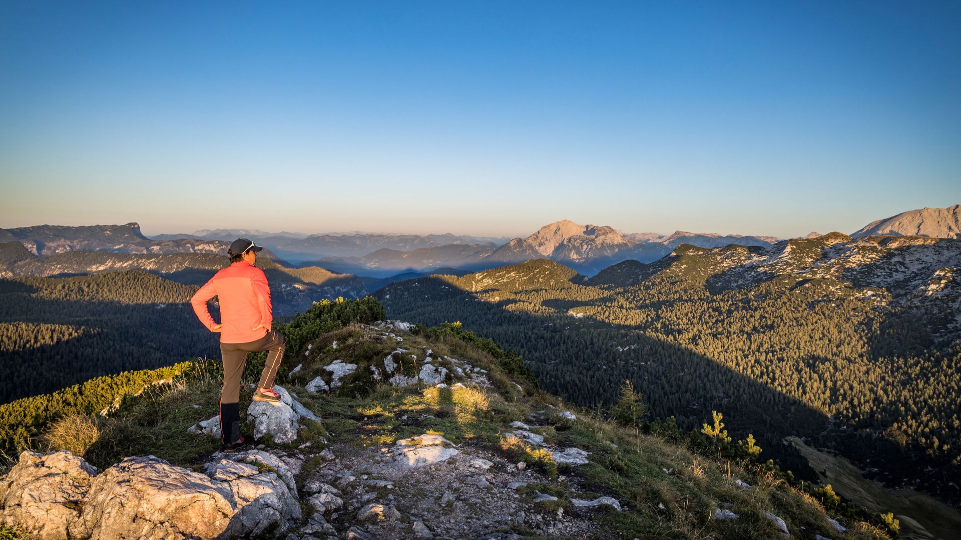 Auf der Reiter Alm