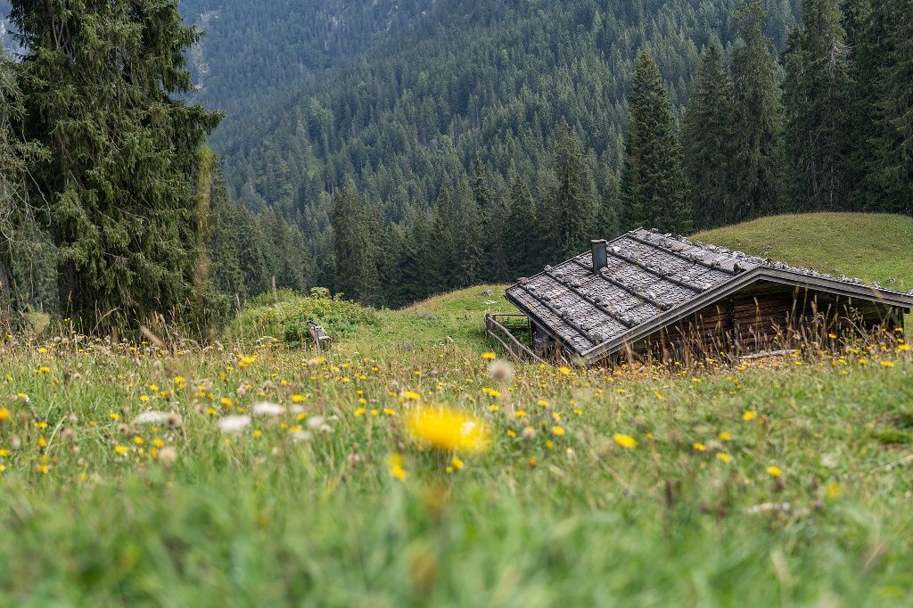 Die Dalsenalm im Lattengebirge