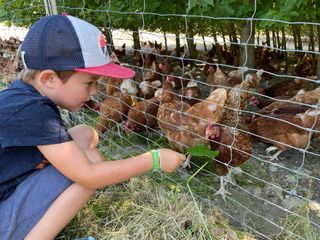 Bild zu Mit Oma und Opa Hühner, Rinder & Biosphären-Produkte entdecken