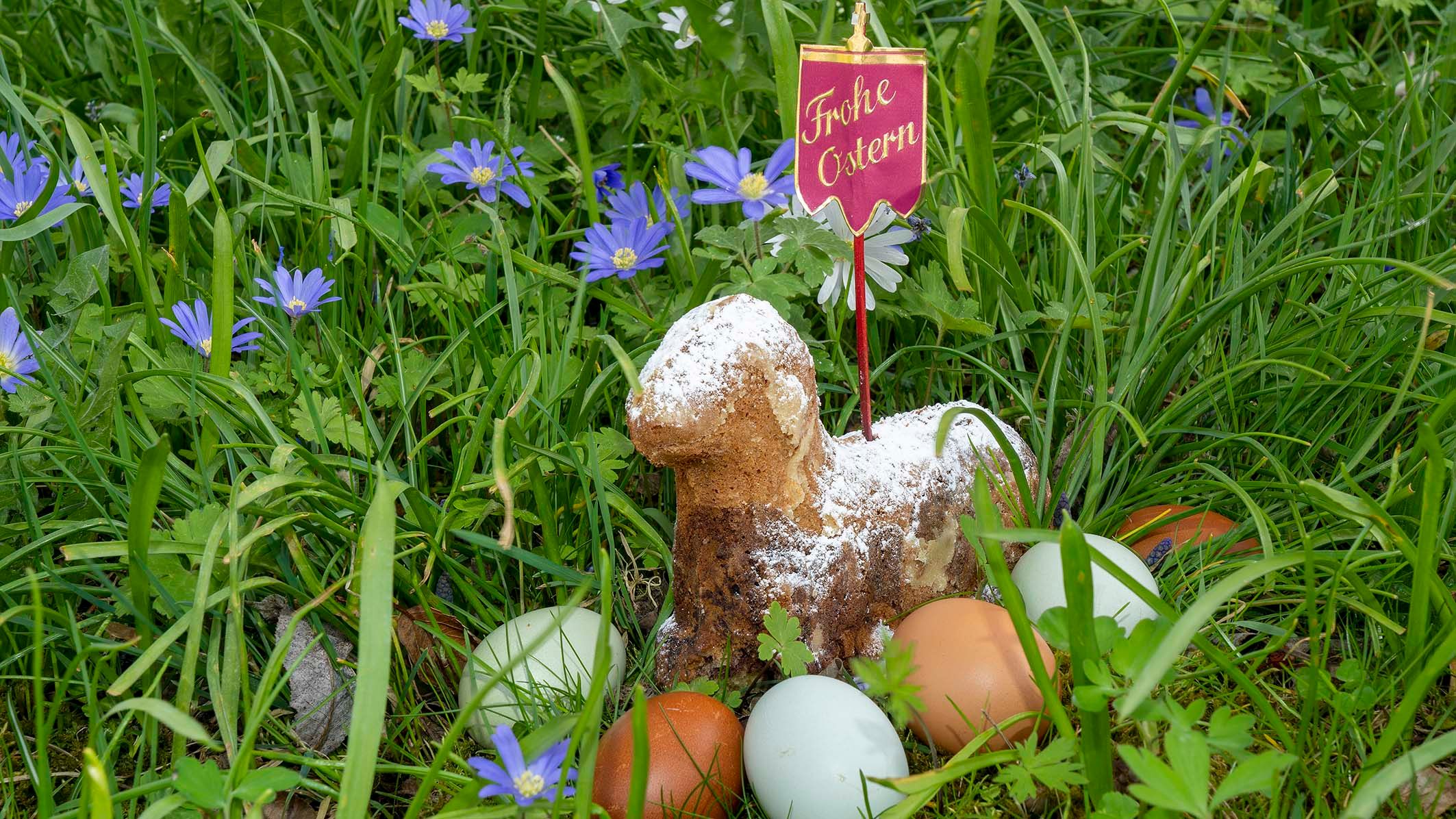 Osterlamm mit Ostereier in einer Frühlingswiese