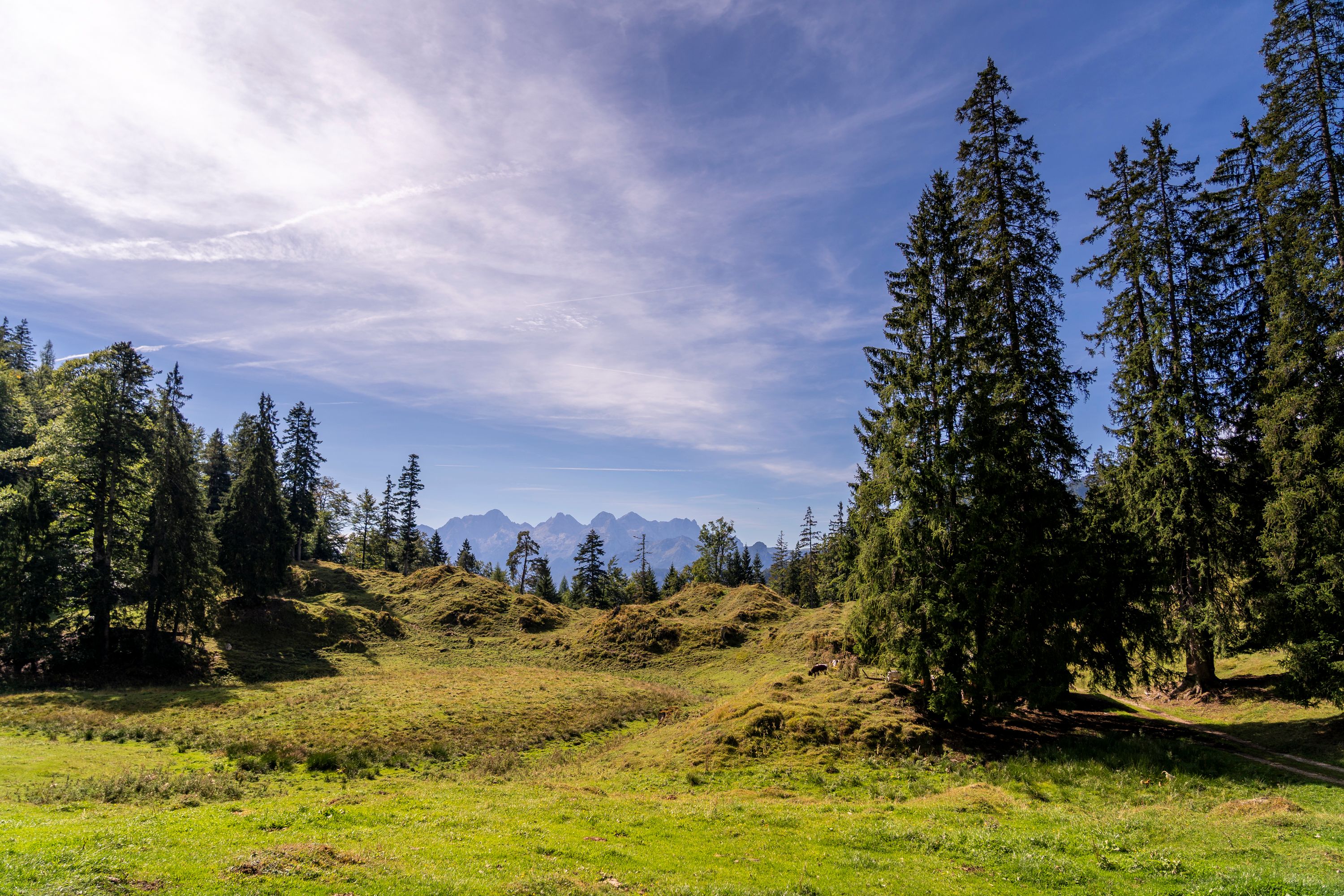 Die Aussicht von der Sellarnalm