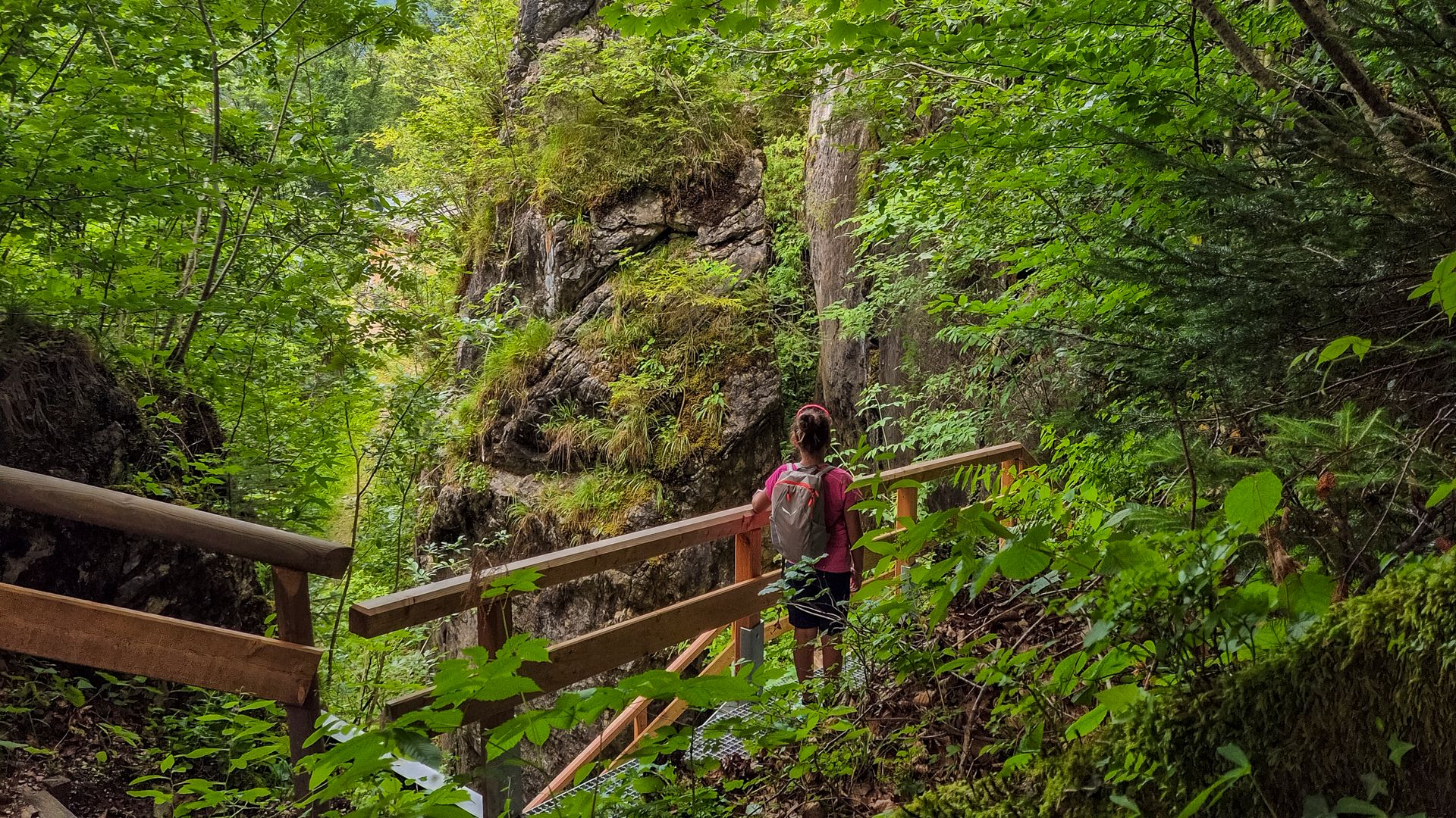 Wandersteig auf dem Obersalzberg zum Kalten Keller