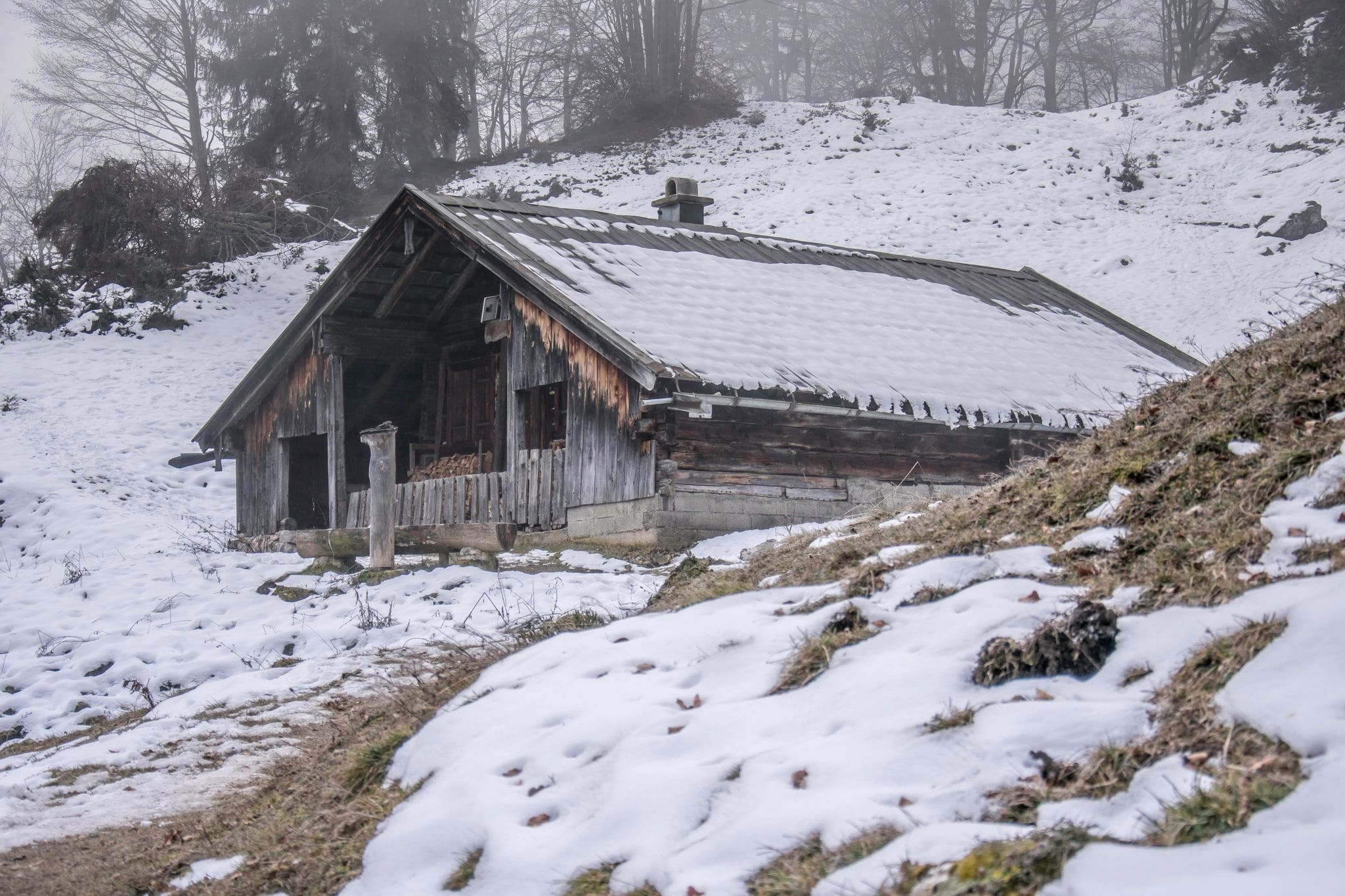 Die Mitterkaseralm auf dem Weg zum Törlkopf