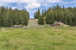 Die Moosenalm