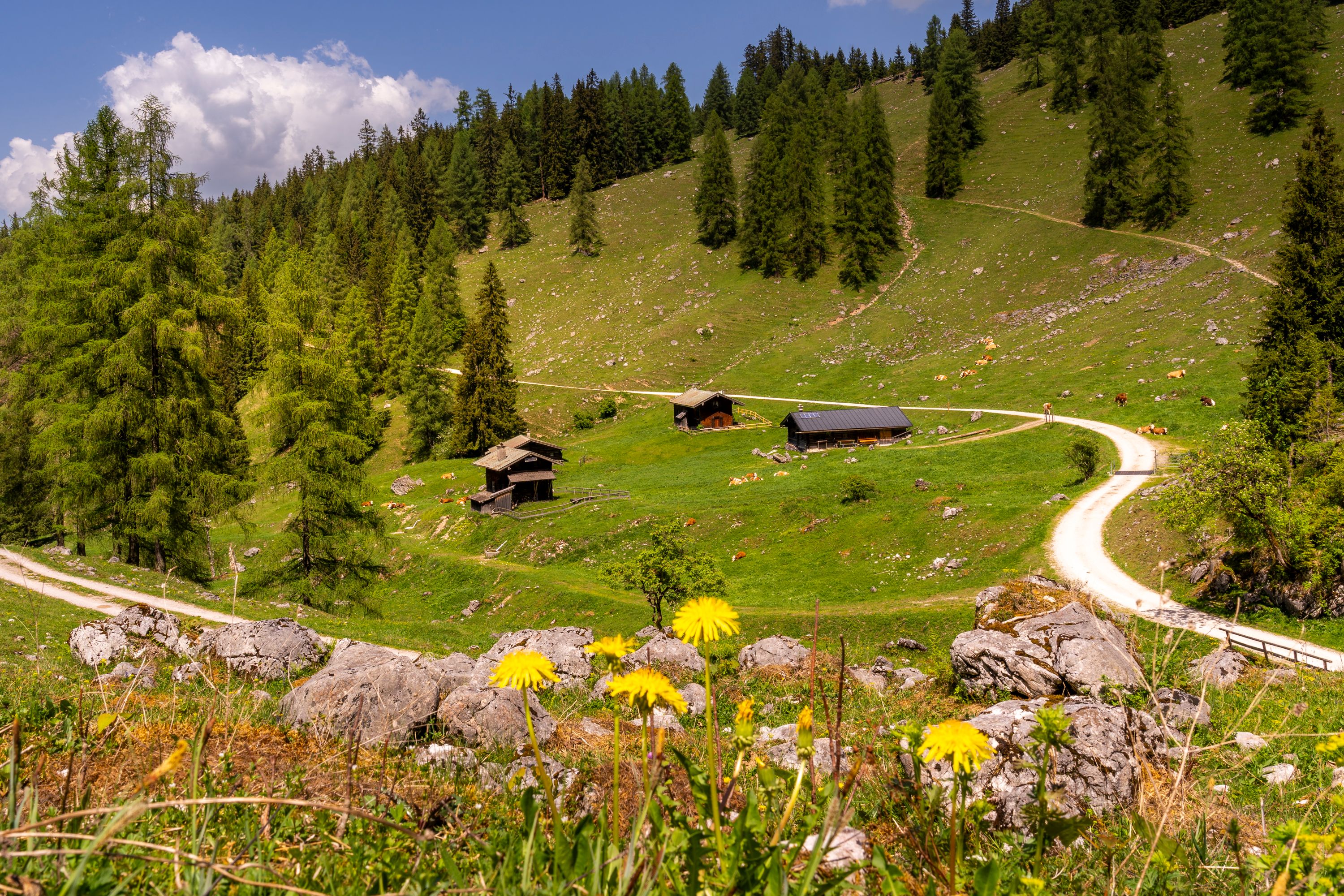 Gotzentalalm