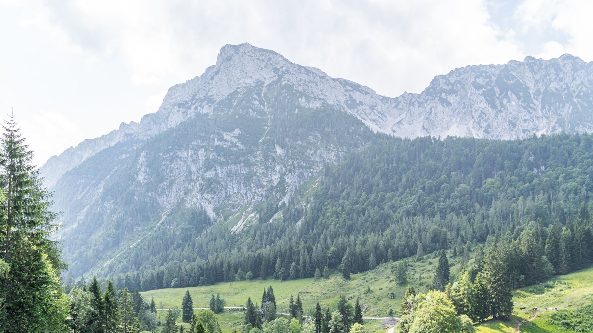 Blick über die Steiner Alm zum Hochstaufen