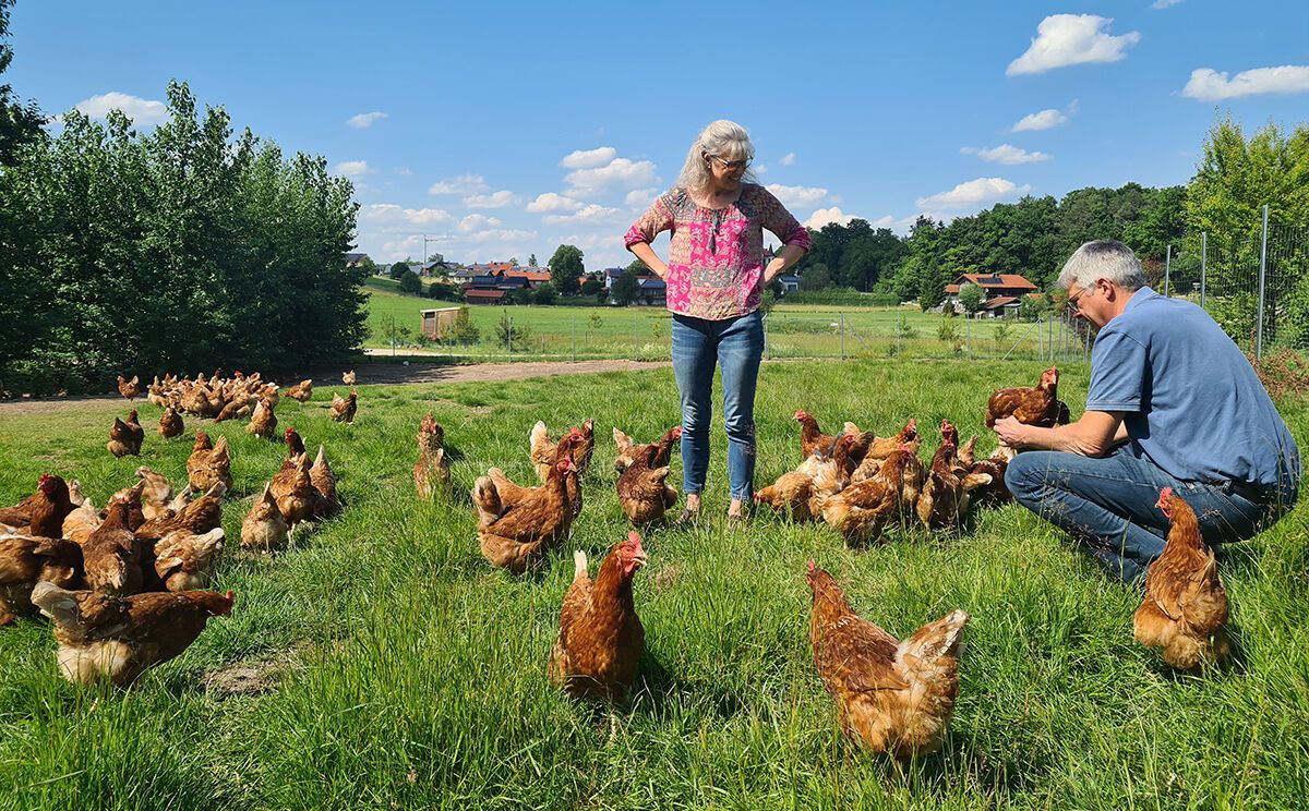Die glücklichen Hühner von Evi und Michi Hofhammer