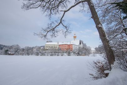 Höglwörther See im Winter