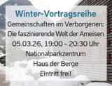 Bild zu Winter-Vortragsreihe: «Gemeinschaften im Verborgenen»