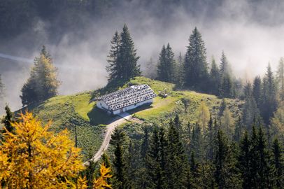 Blick vom Jenner zum Sulzbergkaser im darunterliegenden Nebelmeer