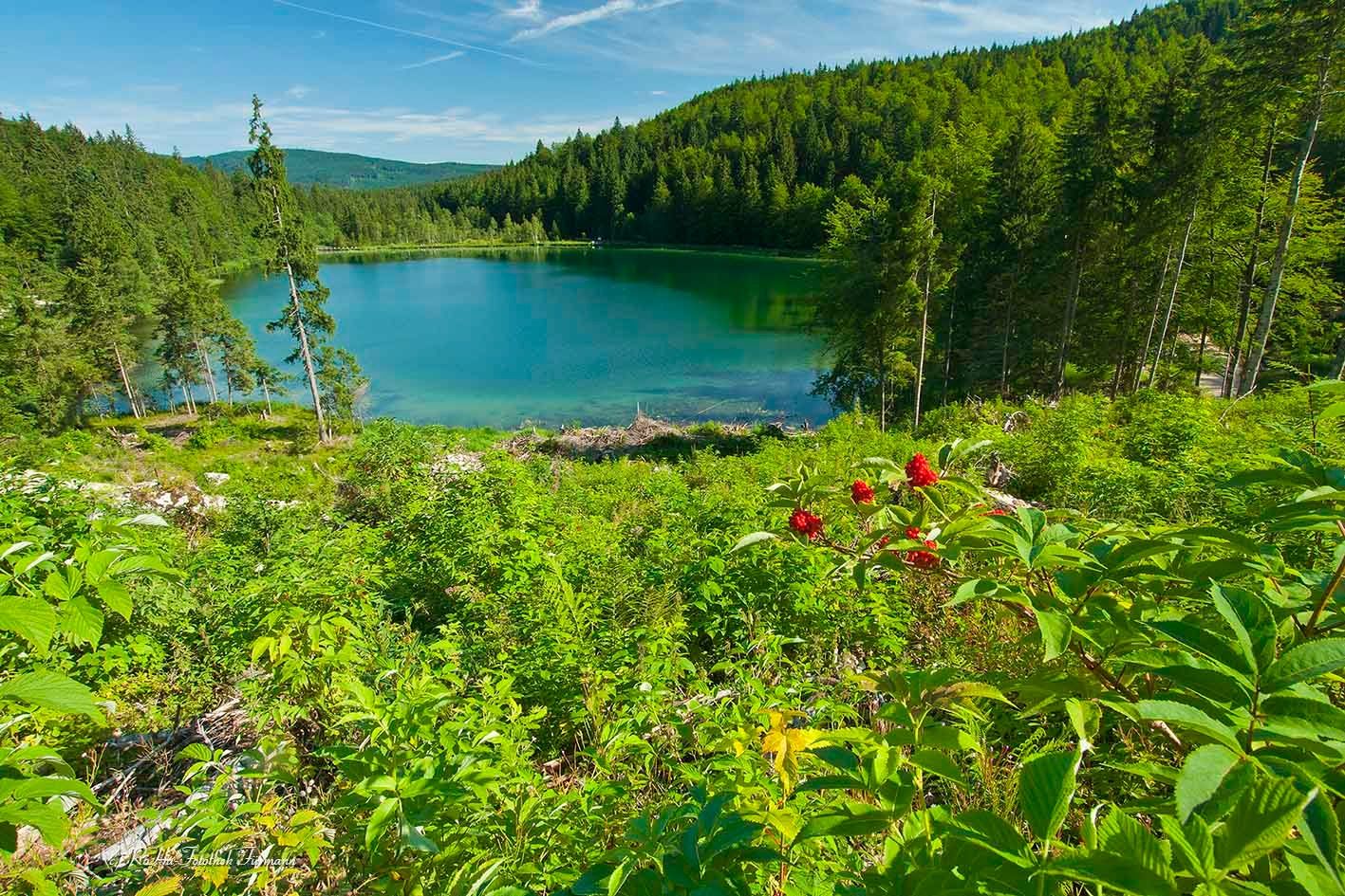 Der Frillensee