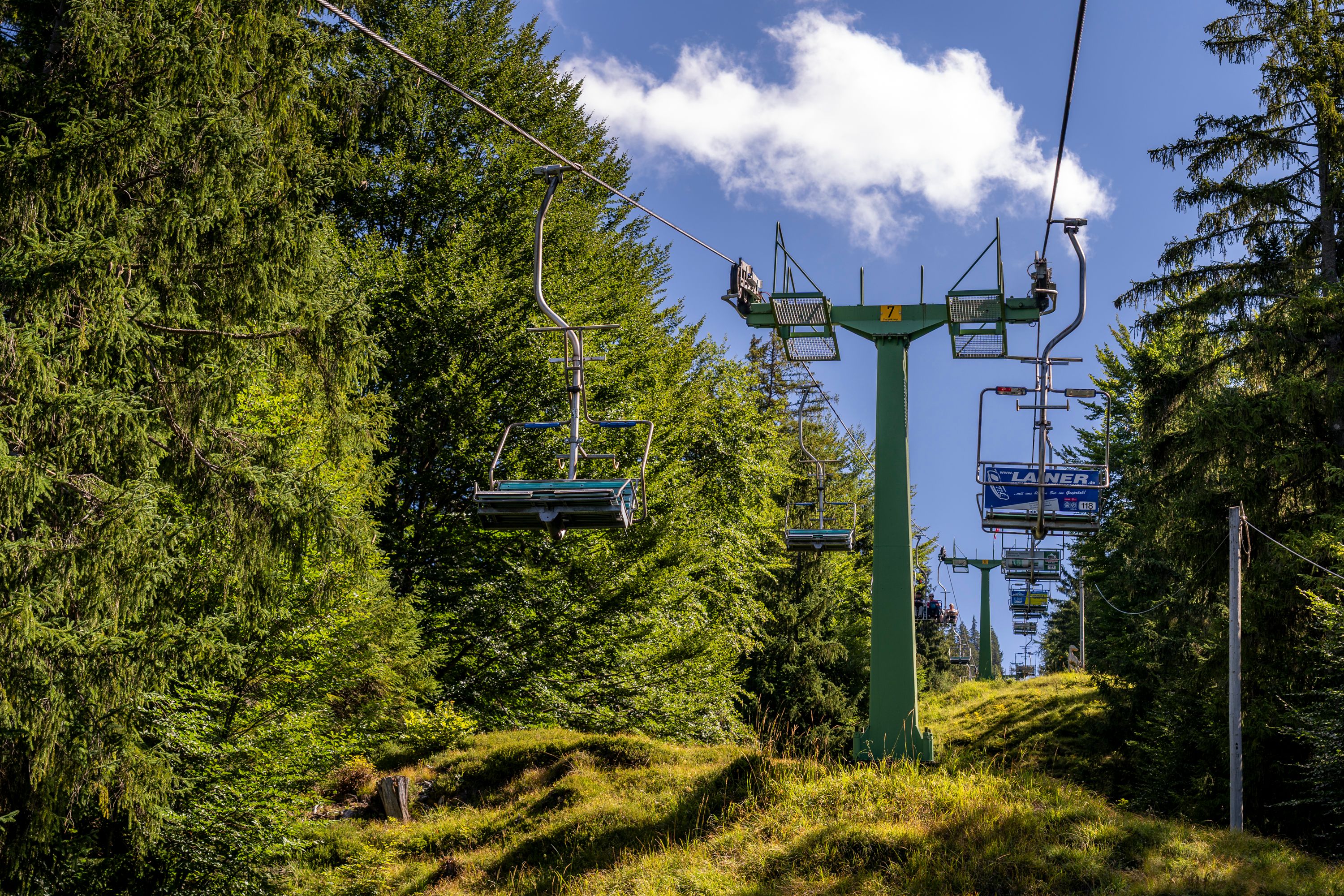 Durch den Wald mit der Hirscheck Sesselbahn
