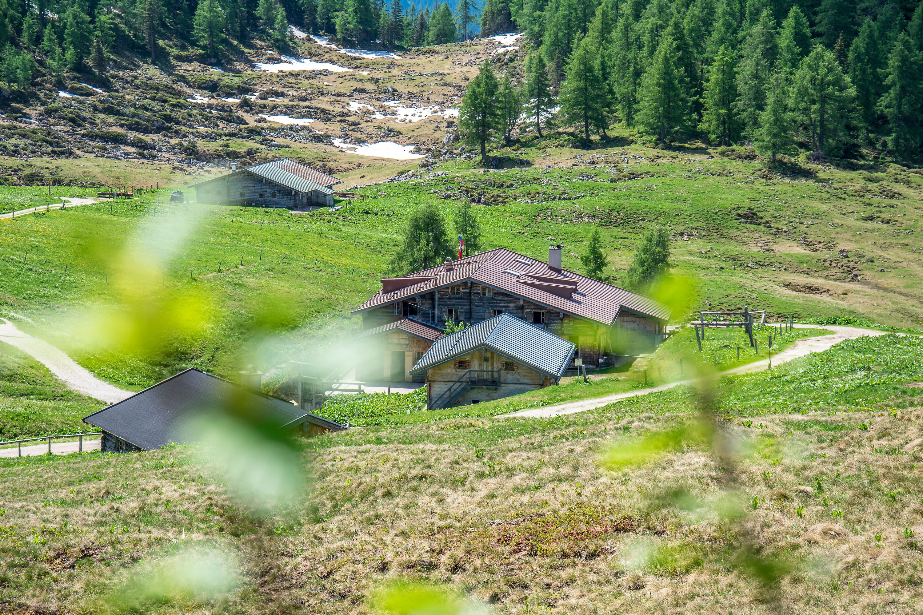 Berghütte Gotzenalm