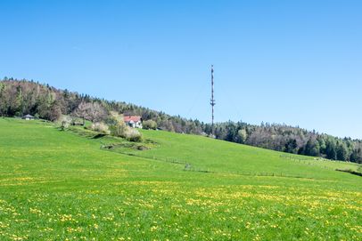 Berggasthof Stroblalm am Högl