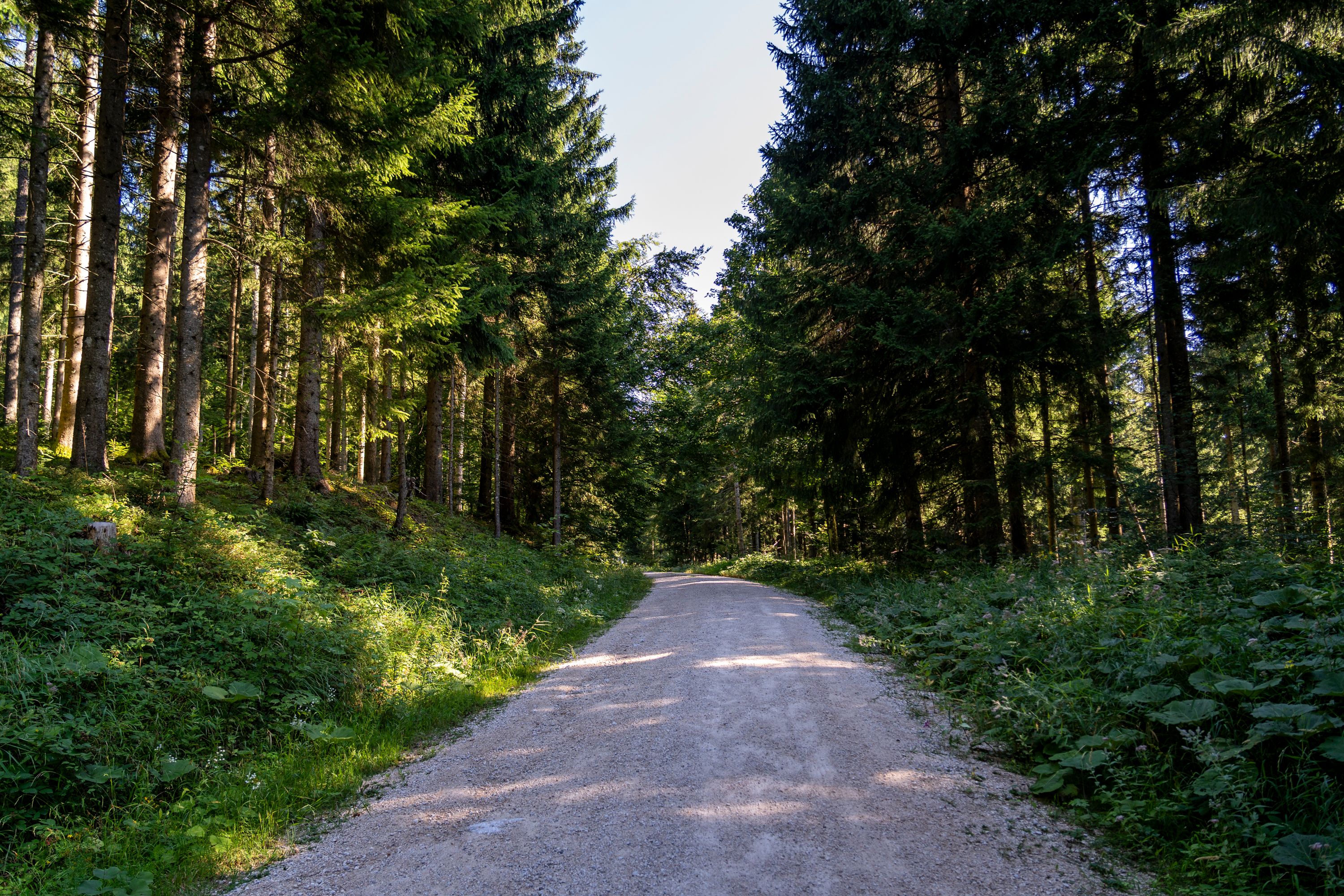 Hier geht`s bergauf zur Bäckeralm 