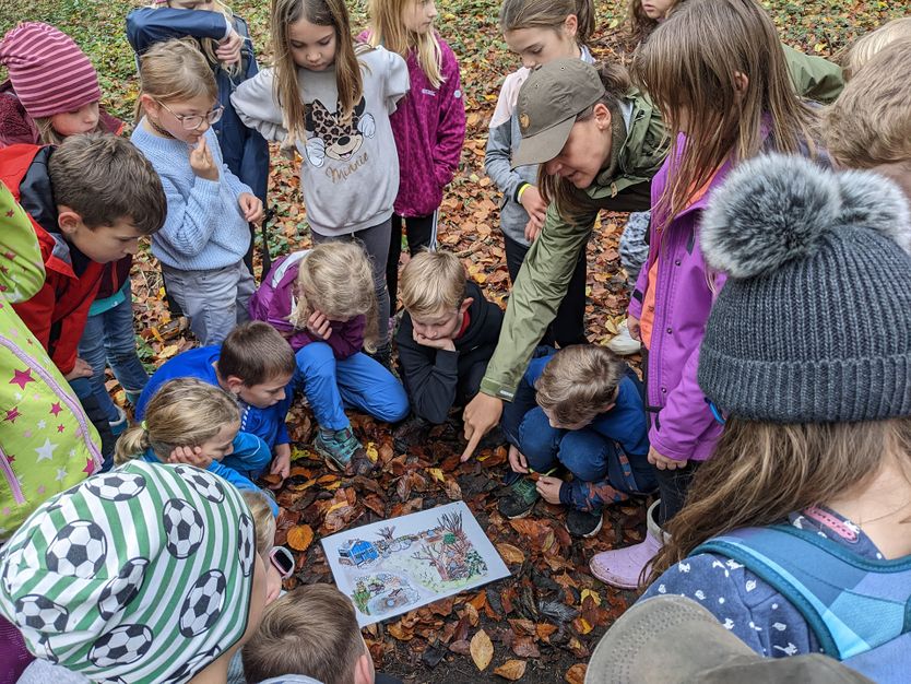 Bild zu Ferien-Entdeckertag: Entdecke die Geheimnisse des Waldes