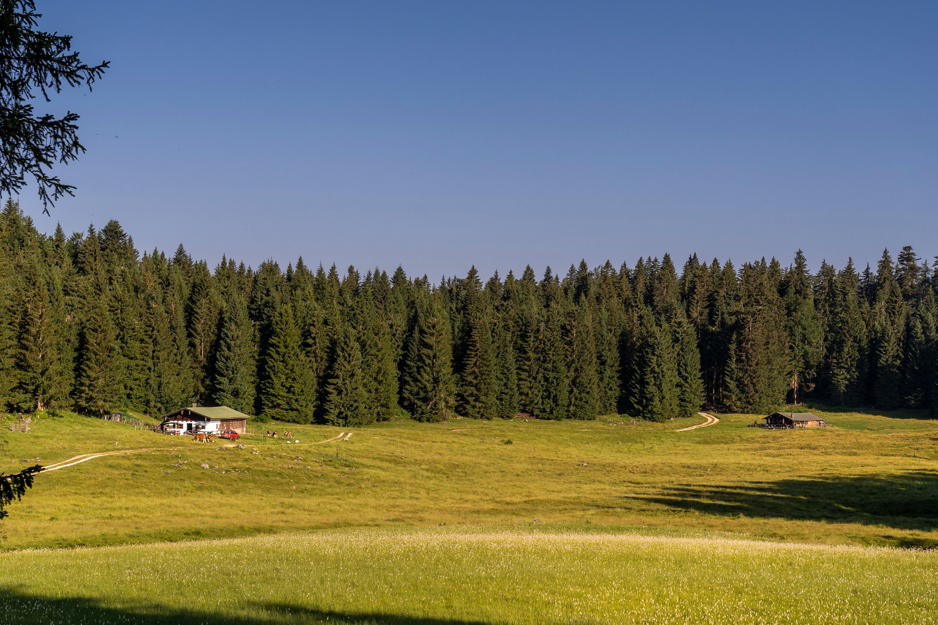 Zwei Kaser auf der Anthauptenalm