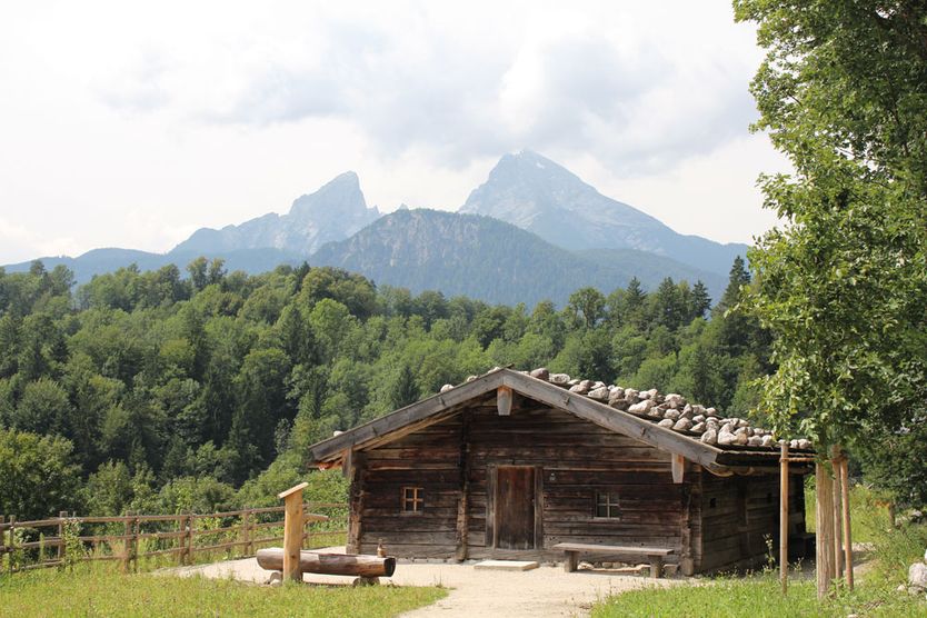 Bild zu Das höchste Leben