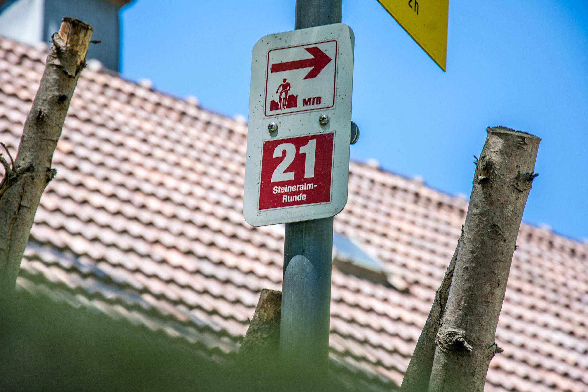 Mountainbike Tour zur Steineralm