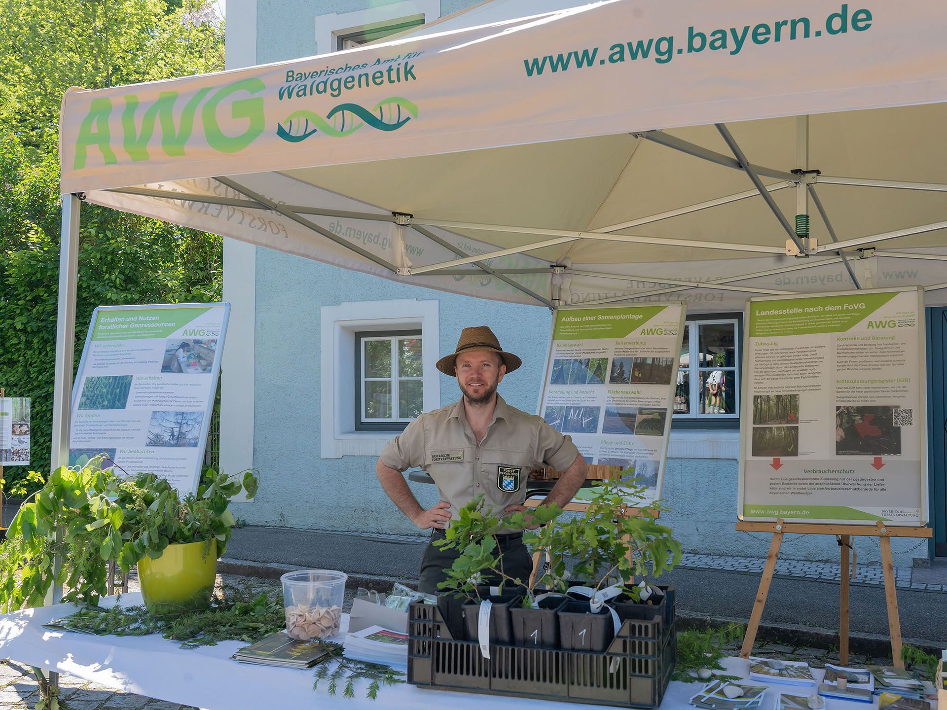 Bild zu Vom Saatgut zum Baum: Einblicke in die Forschung für den Wald der Zukunft