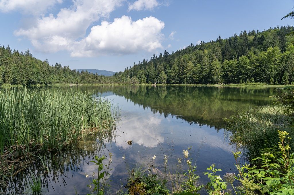 Der Frillensee