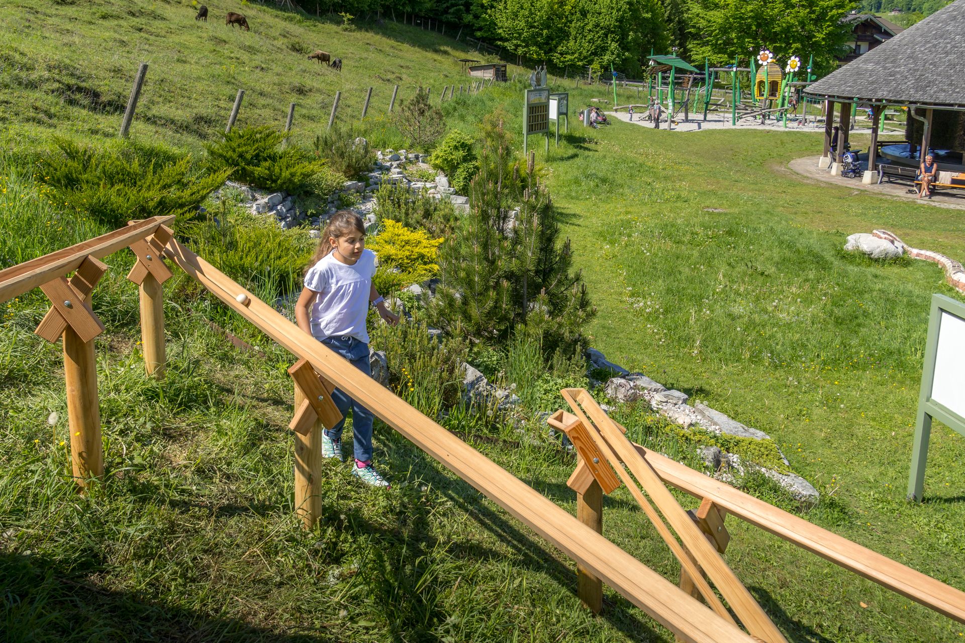 Kugelbahn in der Schönau