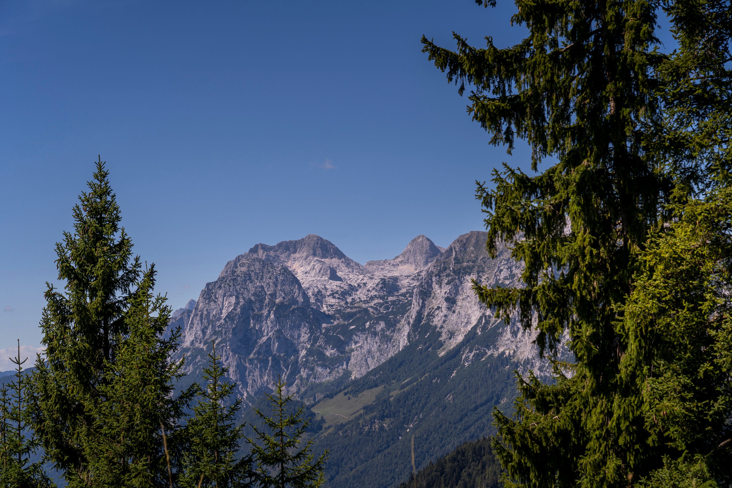 Blick zur Halsalm 