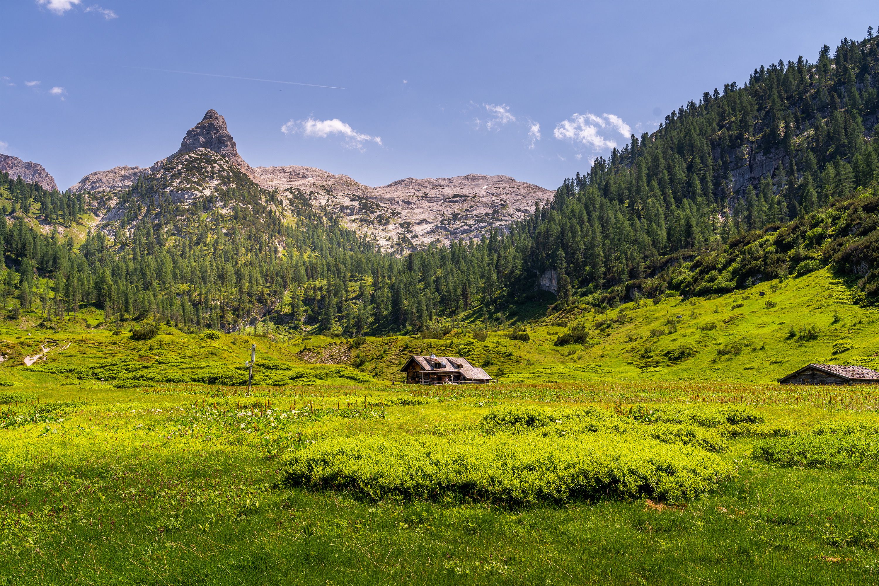 Almkaser undEnzian Grasssl Brennhütte am Funtensee