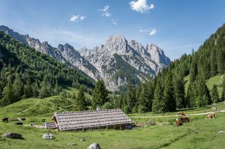 Die Bindalm