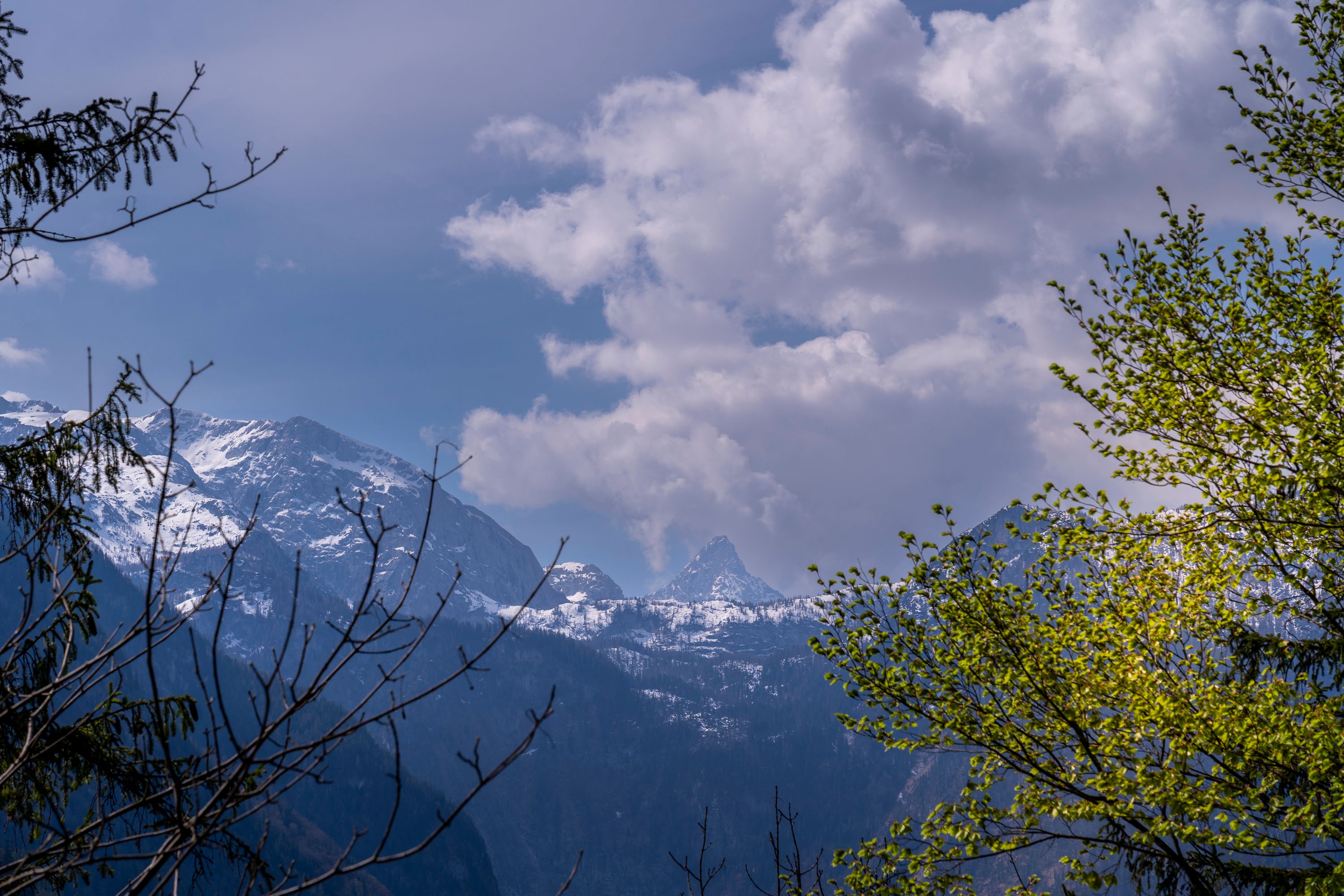 Blick zur Schönfeldspitze