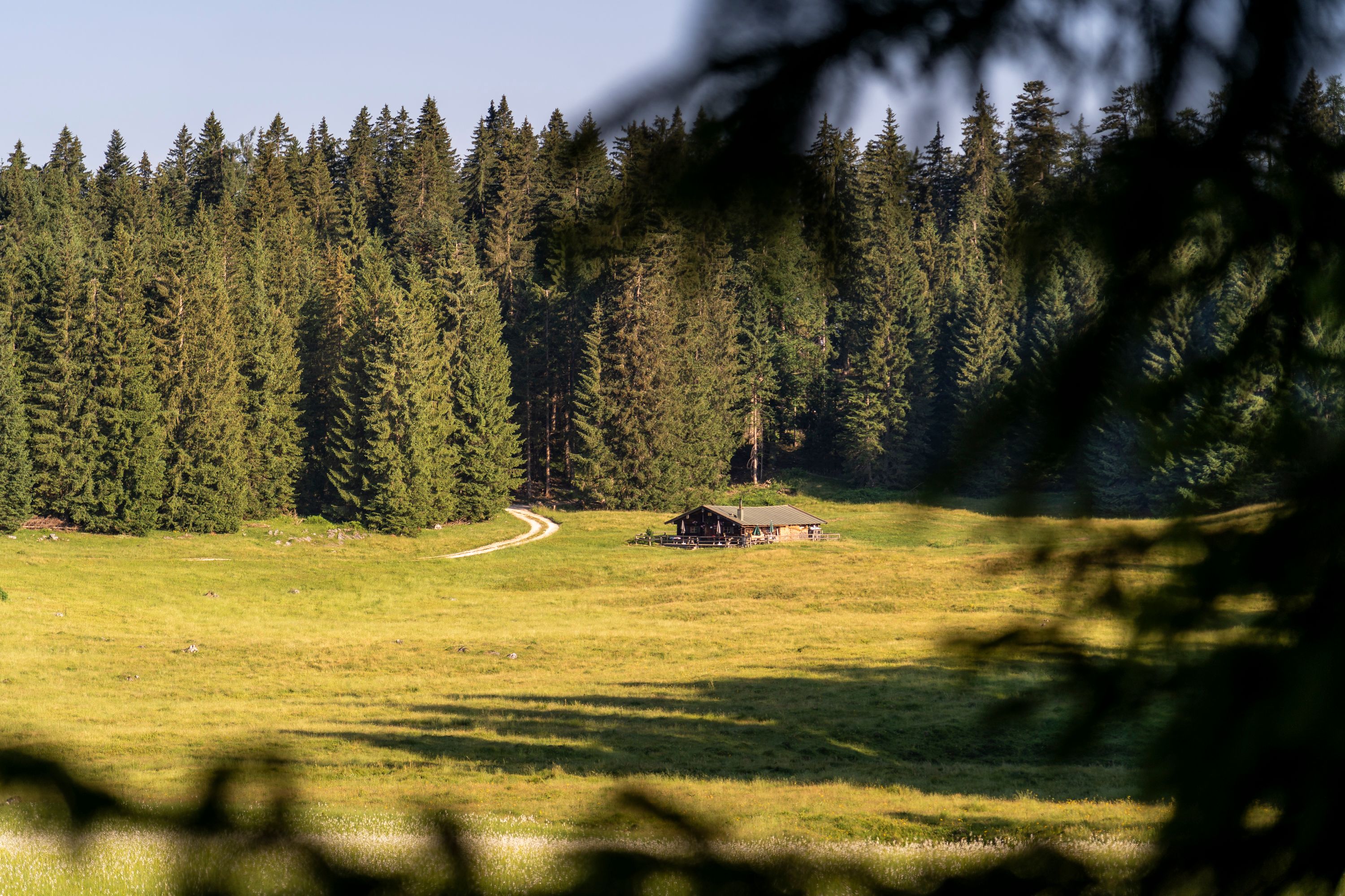 Auf der Anthauptenalm