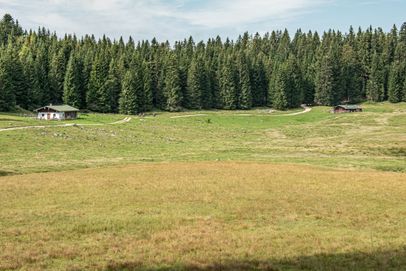 Die Anthauptenalm im Lattengebirge