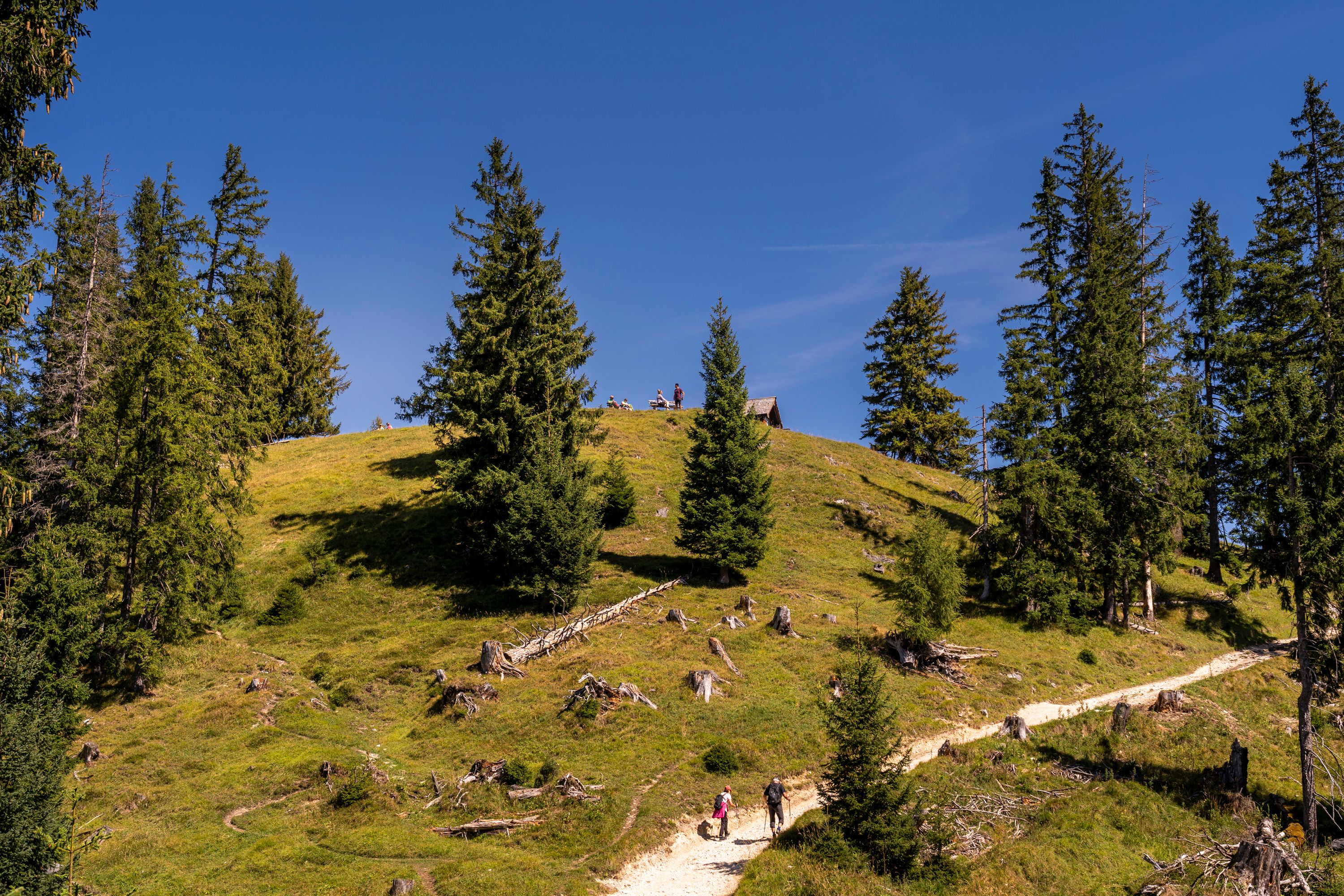 Blick hinauf zum Toten Mann