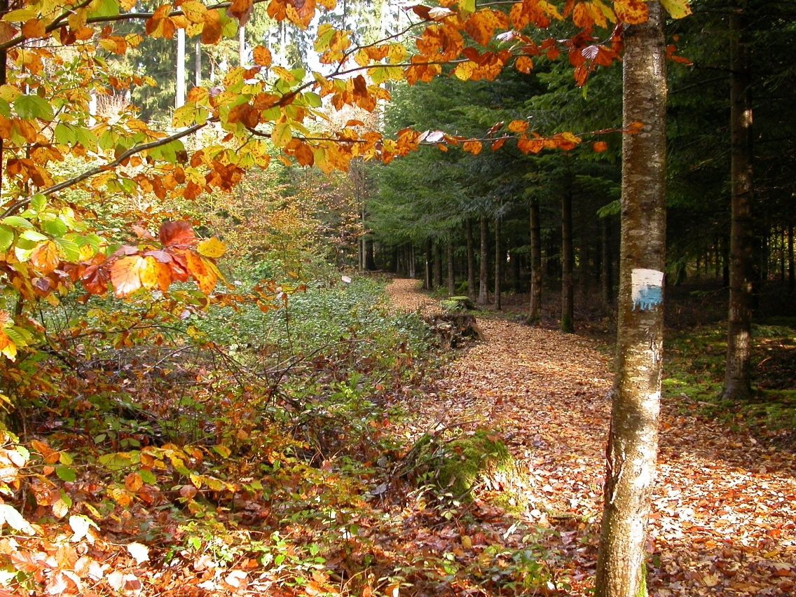 Hernst am Themenpfad Osing