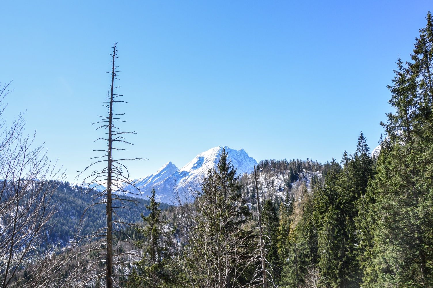 Rund um den Schmuckenstein