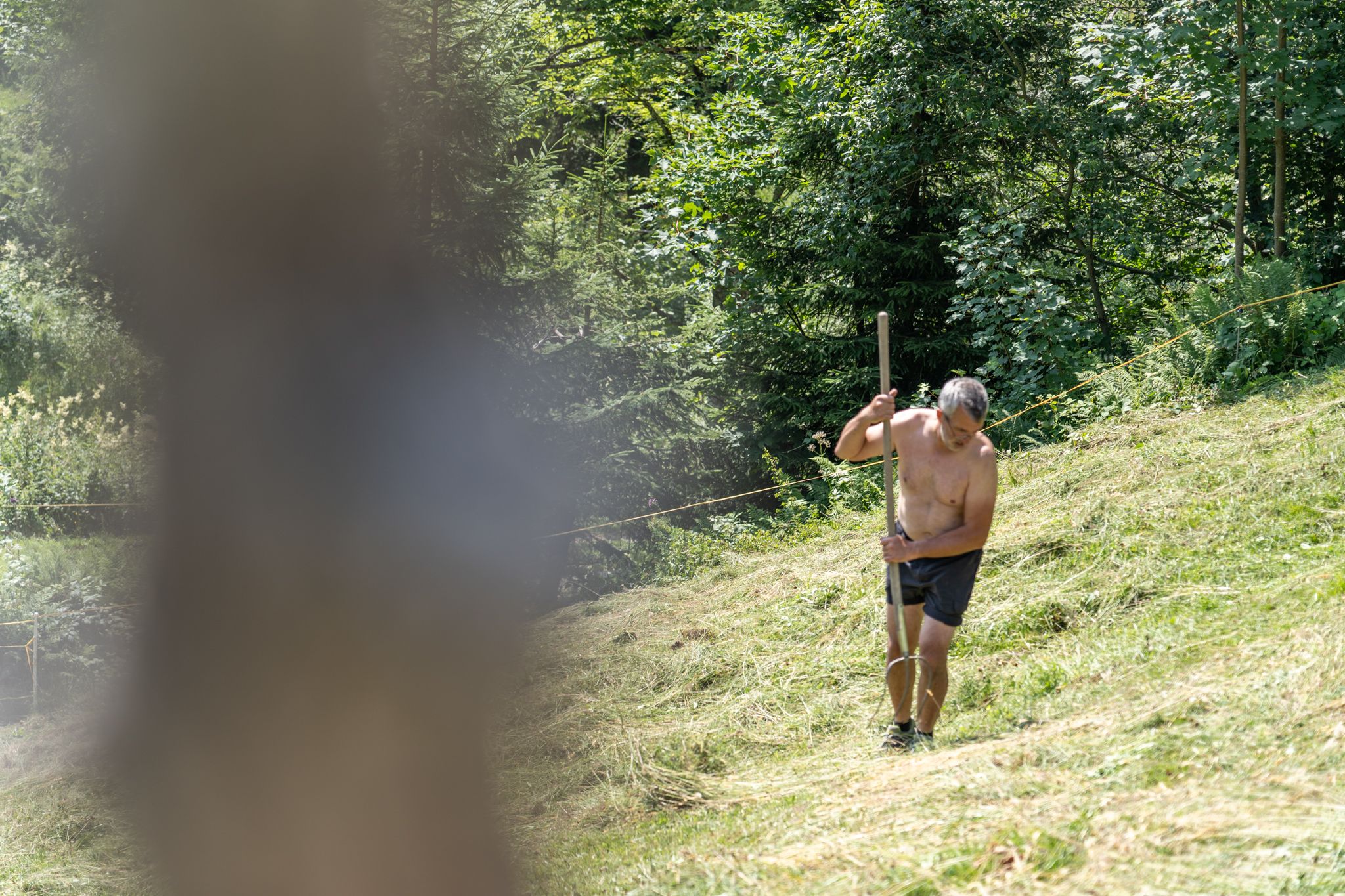Händische Heuernte Steiner Alm