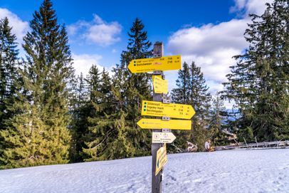 Wegweiser am Hochschwarzeck