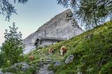 Über die Falzalm zum Watzmannhaus