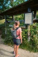 Deicheln und Infotafel an der Soleleitung Ramsau
