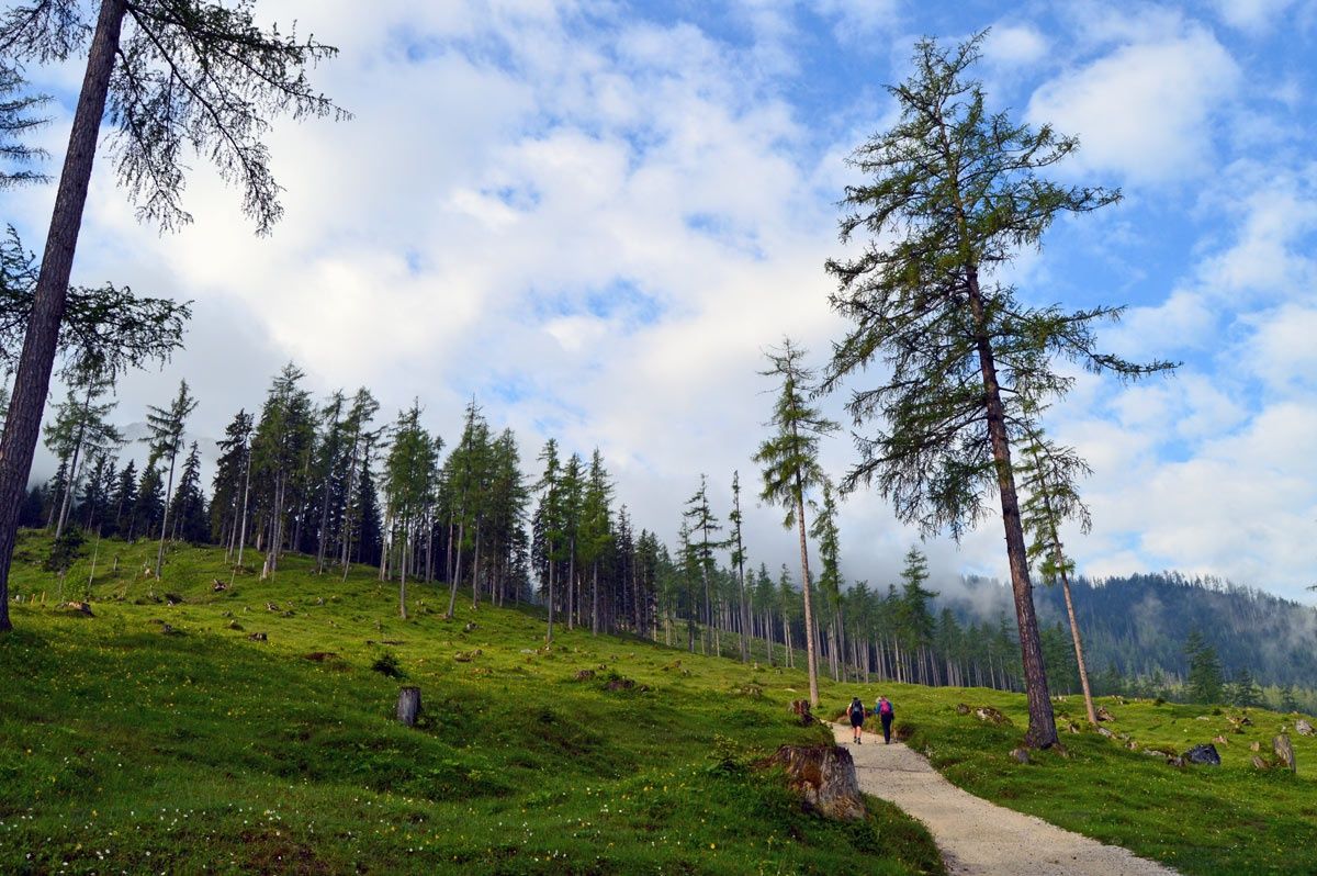 Die  Stubenalm auf dem Weg zum Watzmannhaus