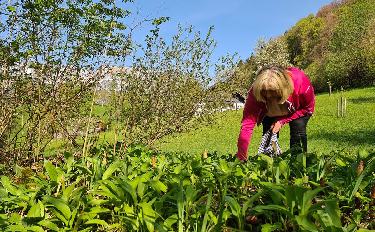 Sophie Stanggassinger beim Pflücken des Bärlauchs