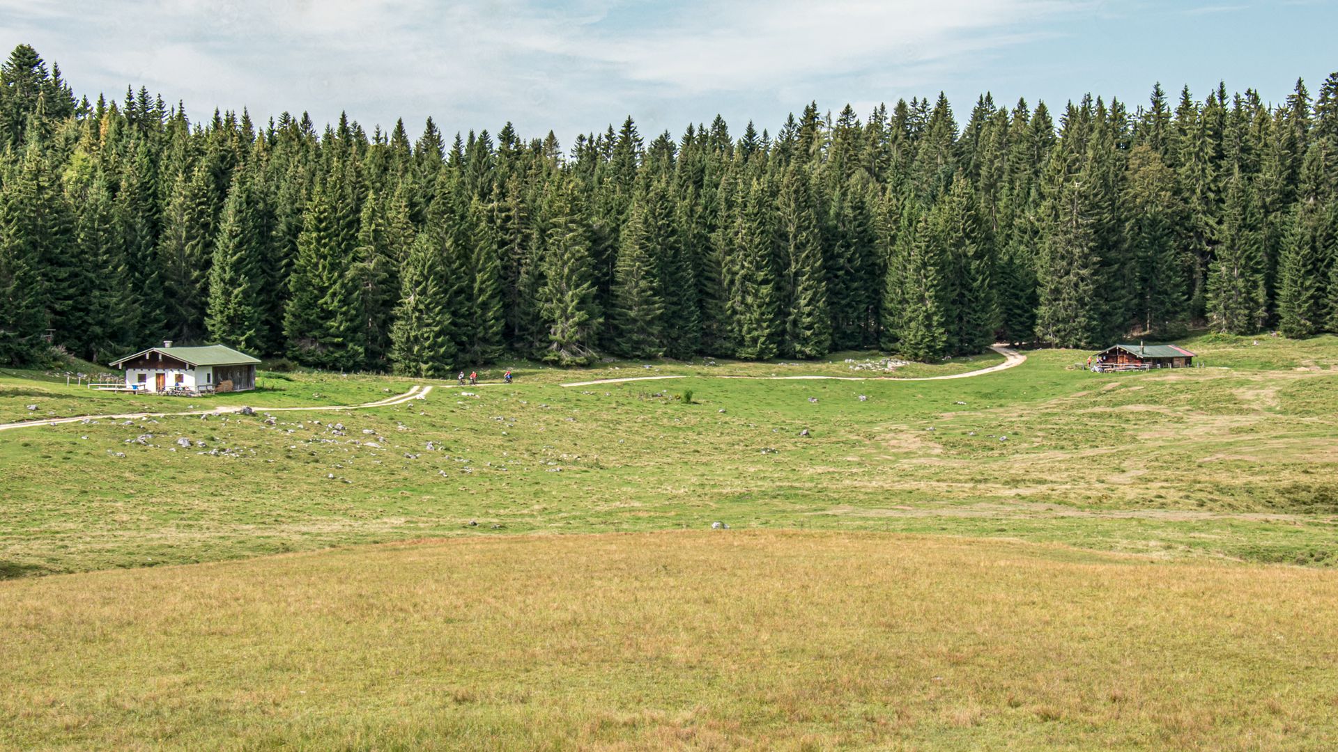 Die Anthauptenalm im Lattengebirge