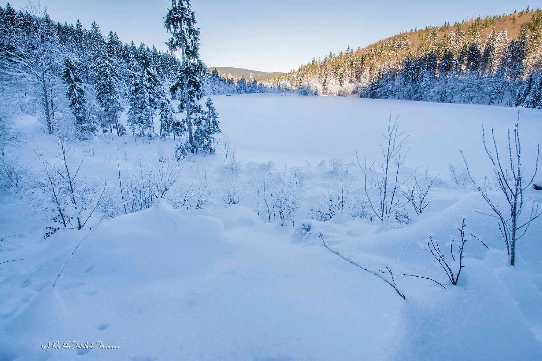 Frillensee im Winter