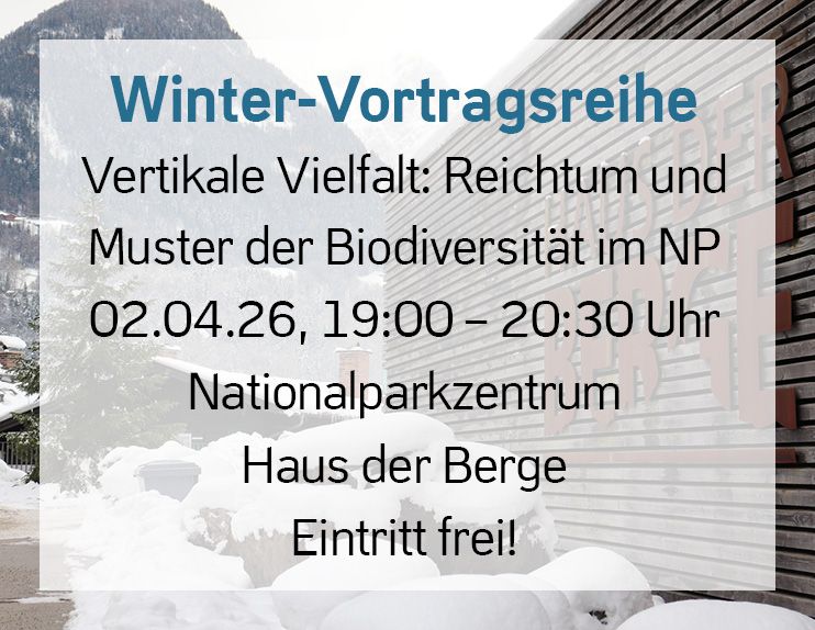 Bild zu Winter-Vortragsreihe: «Vertikale Vielfalt»