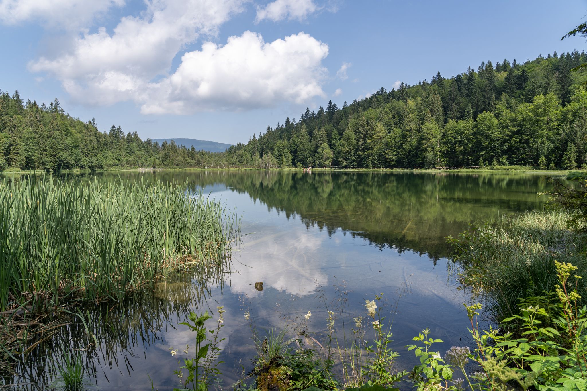 Der Frillensee